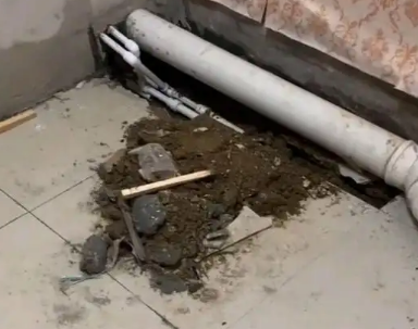 敦煌卫生间漏水检测哪家好
